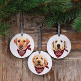 Winter Wonder-Lab Round Ornament, 3 Assorted
