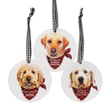 Winter Wonder-Lab Round Ornament, 3 Assorted