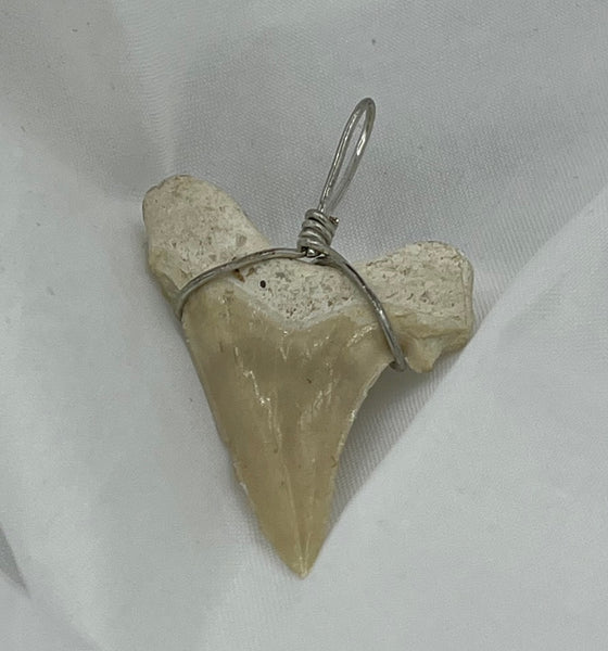 Natural Ancient Whole Shark Tooth Pendant